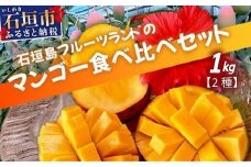 産地直送！石垣島産 マンゴー 食べ比べセット 約1kg (2種)  (2025年6月中旬～8月下旬発送)