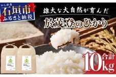 石垣島産 於茂登(おもと)のひかり 10kg みやぎ米屋【 日本一早い新米の産地 石垣 米 お米 産地直送 旬 しきゆたか 沖縄県 石垣市 】MK-2 