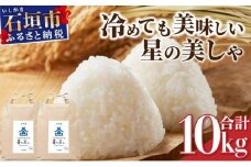 石垣島産 星の美(かい)しゃ 10kg みやぎ米屋 【 日本一早い新米の産地 米 お米 産地直送 旬 ほしじるし 沖縄県 石垣市 】MK-4 