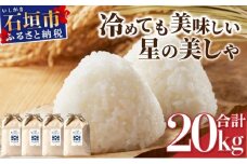 石垣島産 星の美しゃ（ほしのかいしゃ）20kg（5kg×4袋）【 日本一早い新米の産地 ふるさと納税 沖縄県 石垣市 石垣島 米 星 星の美しゃ】MK-5