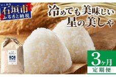 【定期便３回】３ヶ月連続お届け 石垣島産 星の美しゃ（ほしのかいしゃ）15kg（5kg×3回）【 日本一早い新米の産地 ふるさと納税 沖縄県 石垣市 石垣島 米 星 星の美しゃ】MK-6