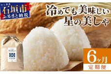 【定期便６回】6ヶ月連続お届け 石垣島産 星の美しゃ（ほしのかいしゃ）30kg（5kg×6回）【 日本一早い新米の産地 ふるさと納税 沖縄県 石垣市 石垣島 米 星 星の美しゃ】MK-7