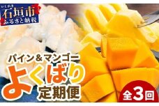 《2026年5月～7月順次発送》【先行予約】島のおいしいを贅沢に！パイナップル2種とマンゴー1種のよくばり定期便【 沖縄 石垣 ピーチ マンゴー パイン パイナップル 完熟 セット フルーツ デザート 食べ比べ 定期便 】 TF-38_R8