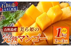 ［予約受付］美ら姫マンゴー1kg（完熟・アーウィン種）≪2025年7月中旬～順次発送≫【 産地直送 沖縄県 石垣市 マンゴー フルーツ 果物 南国 石垣島 】CB-1