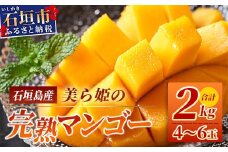 ［予約受付］美ら姫マンゴー2kg（完熟・アーウィン種）≪2025年7月中旬～順次発送≫【 産地直送 沖縄県 石垣市 マンゴー フルーツ 果物 南国 石垣島 】CB-2