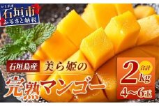 ［予約受付］美ら姫マンゴー2kg（完熟・アーウィン種）≪2026年7月中旬～順次発送≫【 産地直送 沖縄県 石垣市 マンゴー フルーツ 果物 南国 石垣島 】CB-2