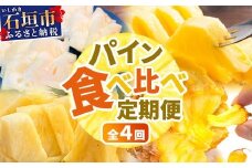 【マツコの知らない世界で絶賛！】《2026年4月～7月順次発送》【先行予約】パイナップル好きにおすすめ！満足のパイナップル4品種定期便【 沖縄 石垣 ピーチ ホワイトココ ジュワリー スナック パイン パイナップル 完熟 セット フルーツ デザート 食べ比べ 定期便 TV テレビ 紹介 マツコ 】 TF-37_R8