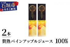 贅熟 石垣島産パインアップルジュース(100%) 500ml×2本