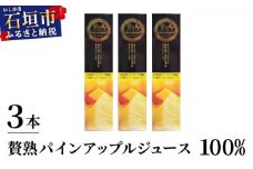 贅熟 石垣島産パインアップルジュース(100%) 500ml×3本