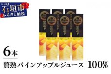 贅熟 石垣島産パインアップルジュース(100%) 500ml×6本