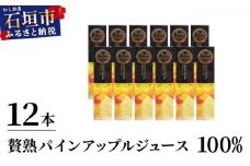贅熟 石垣島産パインアップルジュース(100%) 500ml×12本
