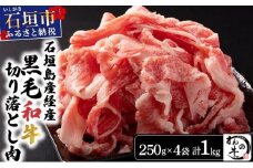 ＜わんの牛＞石垣島産経産黒毛和牛 切り落とし 250g×4袋 合計1kg NA-02