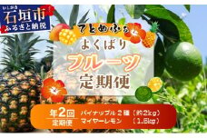 《年２回発送》島のおいしいを贅沢に！パイナップル2種食べ比べと青切りマイヤーレモンのよくばり定期便！