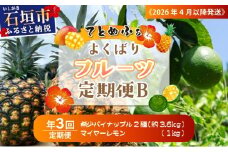 《2026年4月以降発送》果物好きにおすすめ！希少なパイナップル2品種＆青切りマイヤーレモンの定期便　年3回に分けてお送りします