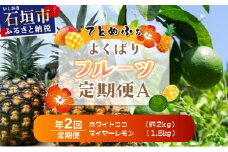《年２回発送》島のおいしいを贅沢に！某TV番組で紹介された希少なホワイトココと青切りマイヤーレモンのよくばり定期便！