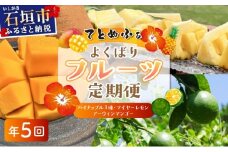 《2026年4月中旬以降発送》島のおいしいを贅沢に！大満足のパイナップル3種とマンゴー、マイヤーレモンの定期便　年5回に分けてお送りします