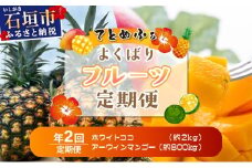 《2026年6月以降発送》マツコの知らない世界で紹介！幻のホワイトココ＆最高糖度20度⁉完熟マンゴーの定期便年２回に分けてお送りします