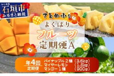《年4回発送》島のおいしいを贅沢に！パイナップル2種とマンゴー、青切りマイヤーレモンのよくばり定期便