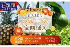 《年5回発送》パイナップル好きにおすすめ！大満足のパイナップル4品種＆マイヤーレモン定期便