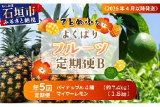 《2026年4月以降発送》パイナップル好きにおすすめ！大満足のパイナップル4品種＆青切りマイヤーレモン定期便　年5回に分けてお送りします