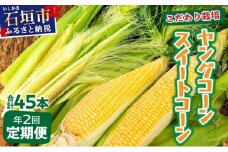 【先行予約2025年1月-5月配送】1番遅くて1番早い⁉ プレミアムヤングコーンとスイートコーンのよくばり定期便！！朝採れを皮付きのままお届け！！