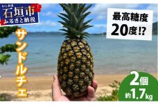 【先行予約2026年6月下旬頃から順次発送】最高糖度20度！？クリーミーな味わいが魅力の石垣島産完熟サンドルチェ 2個セット