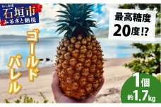 【先行予約2026年5月下旬ころから順次発送】最高糖度20度！？石垣島産完熟ゴールドバレル 1玉 約1.7kg