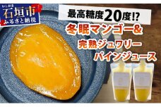 《8月以降順次発送》最高糖度20度！？冬眠マンゴーと完熟ジュワリーパインジュース