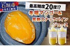 《8月以降順次発送》最高糖度20度！？冬眠マンゴーと完熟スナックパインジュース