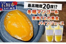 《8月以降順次発送》最高糖度20度！？冬眠マンゴーと完熟てとの黄金パインジュース