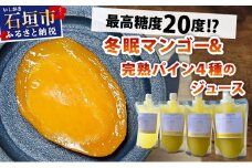 《8月以降順次発送》最高糖度20度！？冬眠マンゴーと完熟パイン4種のジュース