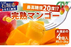 《2026年6月下旬～7月発送》最高糖度20度！？ 石垣島産完熟マンゴー！大満足の４個入り