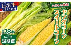 【先行予約2025年1月-5月配送】1番遅くて1番早い⁉ プレミアムヤングコーンとスイートコーンのよくばり定期便！！朝採れを皮付きのままお届け！！