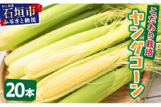 【先行予約2025年12月-2026年4月】 1番遅くて1番早い⁉ 朝採れプレミアムヤングコーンを皮付きのまま20本お届け！！