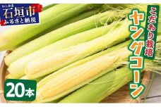 【先行予約2025年12月-2026年4月】 1番遅くて1番早い⁉ 朝採れプレミアムヤングコーンを皮付きのまま20本お届け！！