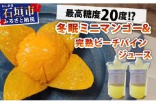 《8月以降順次発送》最高糖度20度！？冬眠ミニマンゴーと完熟ピーチパインジュース