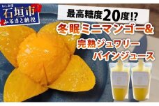 《8月以降順次発送》最高糖度20度！？冬眠ミニマンゴーと完熟ジュワリーパインジュース