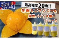 《8月以降順次発送》最高糖度20度！？冬眠ミニマンゴーと完熟パイン4種のジュース　よくばり詰め合わせ
