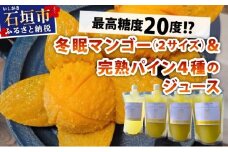 最高糖度20度！？冬眠マンゴー、ミニマンゴーと完熟パイン4種のジュース