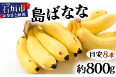 《６月以降発送》バナナ好きに届けたい！！届いてすぐ食べられる、もっちり食感がやみつきの希少な国産『プレミアム島ばなな』をお届け！！