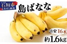 《６月以降発送》バナナ好きに届けたい！！届いてすぐ食べられる、もっちり食感がやみつきの希少な国産『プレミアム島ばなな』を大容量でお届け！！