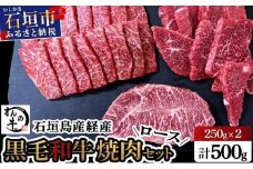 石垣島産経産黒毛和牛 焼肉セット【真空パック】 計 500g　NA-01