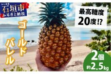 【先行予約2026年5月下旬ころから順次発送】最高糖度20度！？石垣島産完熟ゴールドバレル 2玉 約2.5kg