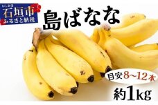 バナナ好きに届けたい！！完全無農薬栽培 もっちり食感がやみつきの希少な国産『プレミアム島ばなな』贅沢に1房丸ごと約1kgお届け！！