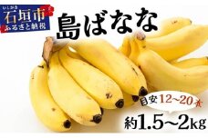 バナナ好きに届けたい！！完全無農薬栽培 もっちり食感がやみつきの希少な国産『プレミアム島ばなな』贅沢に1房丸ごと約1.5-2kgお届け！！