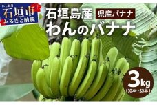 ＜わんのバナナ＞石垣島産バナナ【沖縄県産バナナ】約3kg NA-06
