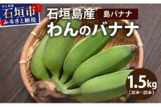＜わんのバナナ＞石垣島産バナナ【島バナナ】 合計約1.5kg NA-07