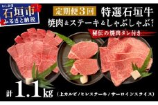 【2025年11月以降順次発送】【3回定期便】希少な特選石垣牛をご家庭で！！全3回合計1.1kg　上カルビ、ヒレステーキ各400gずつ、特選しゃぶしゃぶ用300g & 石垣牛 MARU秘伝の焼肉タレ100ml×1本 | 沖縄 石垣 特選 牛 上 赤身 カルビ ヒレ ステーキ ロース 肉 焼肉 真空 冷凍 タレ 定期便 | IM-61t