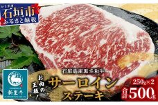 石垣島産 黒毛和牛 新里牛 サーロインステーキ (250g×2) 合計500g SZ-6