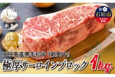 石垣島産 黒毛和牛 新里牛 極厚サーロインブロック（1kg×1）合計1kg SZ-27